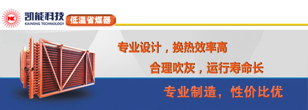 省煤器專業(yè)制造廠家